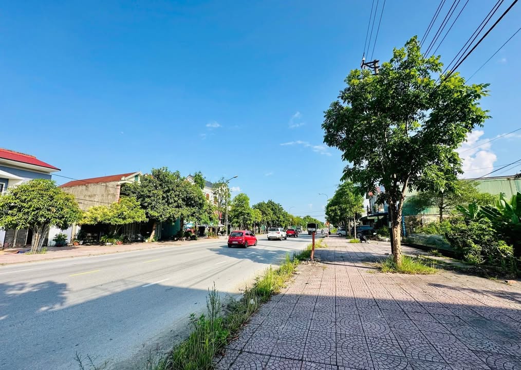 Đất nền mặt đường Quang Trung - Thạch Đài 100m² giá 4.6 tỷ - Đầu tư sinh lời ngay!