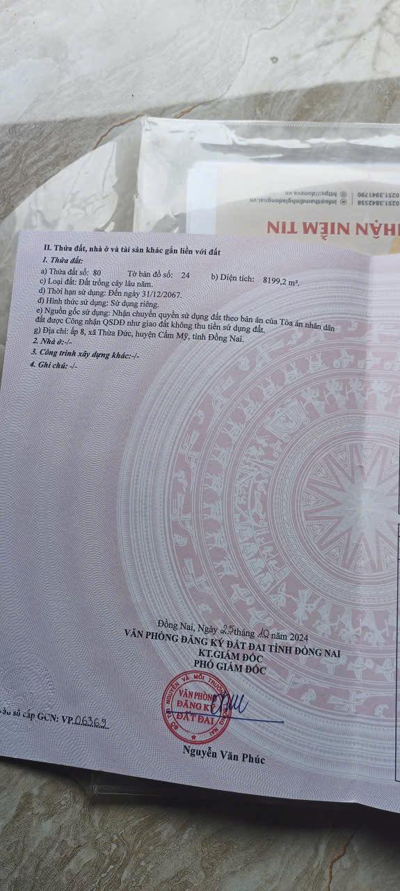 Đất nền 8ha tại Xuân Đường, Cẩm Mỹ - Giá chỉ 16 tỷ, cơ hội đầu tư hấp dẫn!
