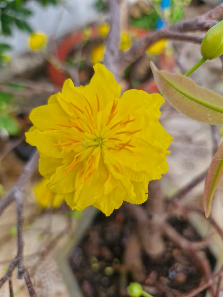 Đất tái định cư Biên Hòa 80m² giá 3.6 tỷ - Hạ tầng hoàn chỉnh, sổ hồng riêng!