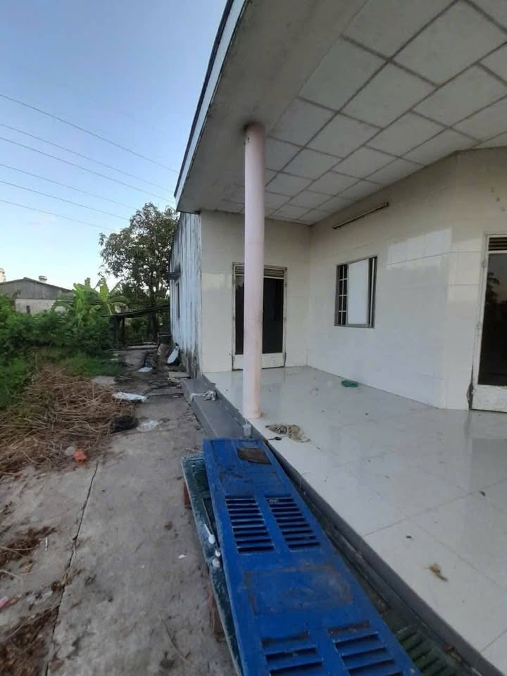 Đất Hòa Phú, Châu Thành, Long An 983m² giá 650 triệu - Cơ hội đầu tư tuyệt vời!