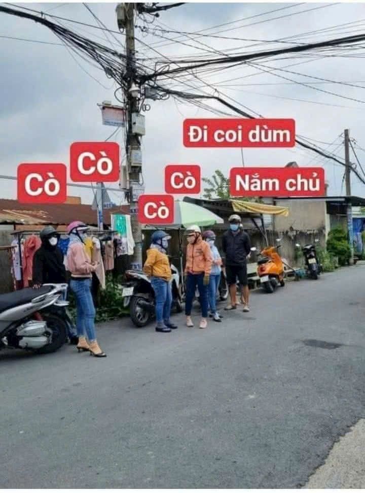 Đất nền Thắng Nhất Vũng Tàu 195m² giá 8.25 tỷ - Đầu tư sinh lời ngay!