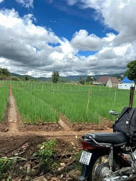 Đất nền Hiệp An, Đức Trọng 5777m² giá 28 tỷ - Cơ hội đầu tư sinh lời tuyệt vời!