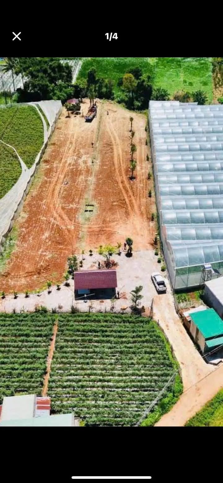 Đất nền 3600m² Bắc Hội, Hiệp Thạnh - Giá chỉ 5 tỷ, cần bán gấp!