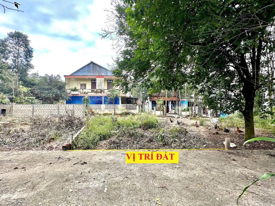 Đất kiệt ô tô 9 Nam Giao, Thừa Thiên Huế 100m² giá 1.55 tỷ - Sổ hồng chính chủ!