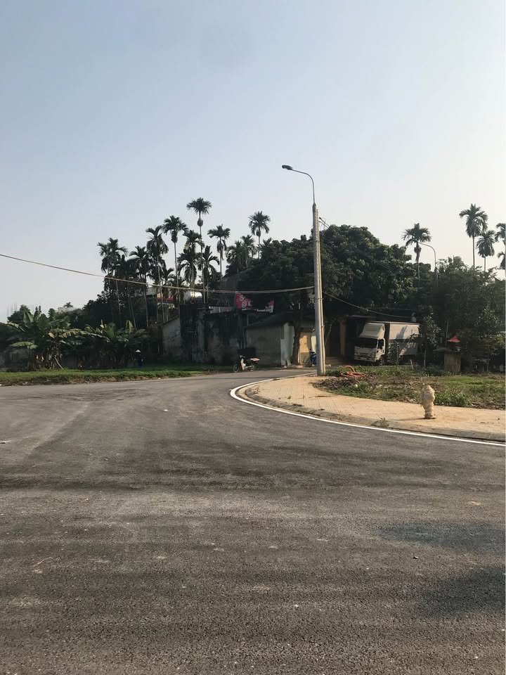 Đất thổ cư 96m² tại khu đô thị Sơn Phúc, Thành phố Hà Giang - Vị trí đẹp, giá thỏa thuận!