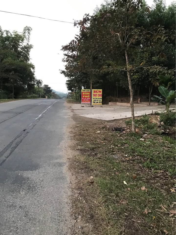 Đất thổ cư mặt đường nhựa phường Bình Thuận 370m² - Giá thỏa thuận hấp dẫn!