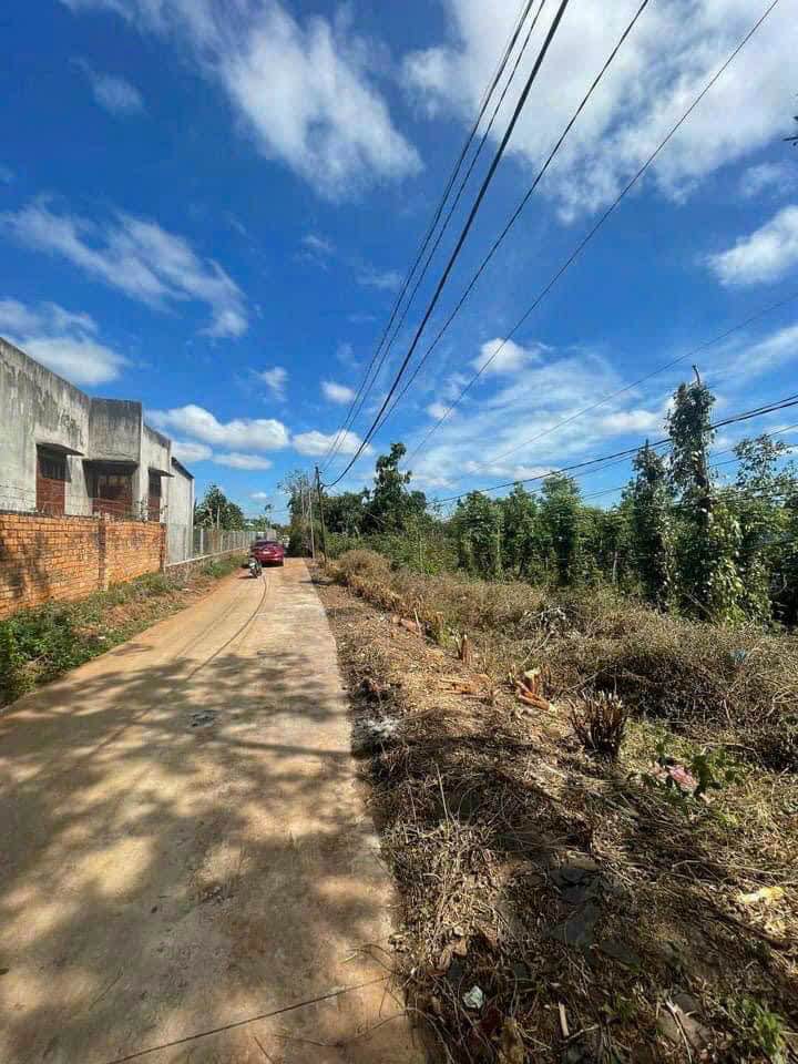 Đất nở hậu 14m tại 20A, Buôn Ma Thuột 578m² - Giá cực tốt, chính chủ bán gấp!