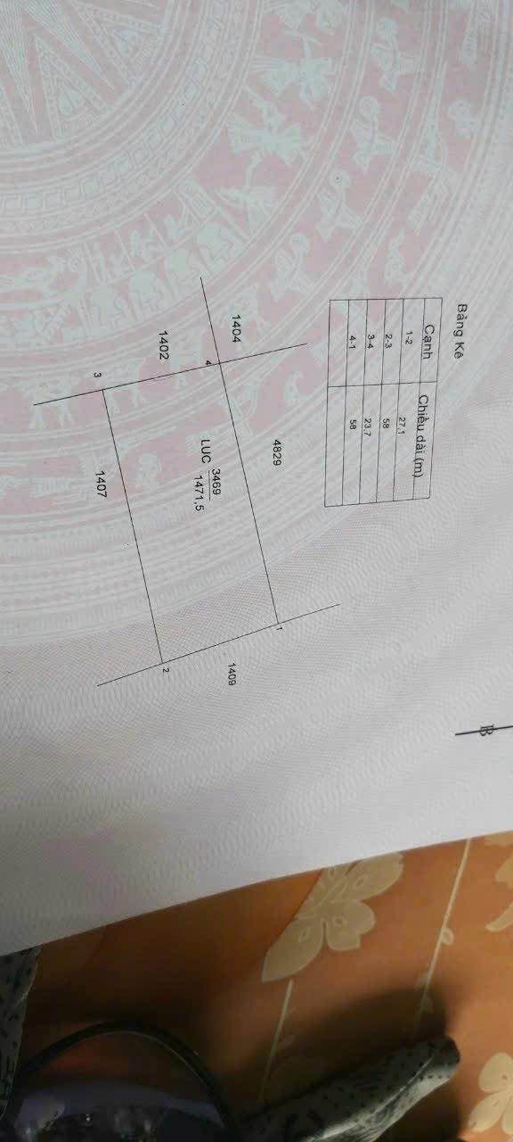 Đất lúa 2300m² tại xã Long Hựu Tây, Cần Đước - Giá chỉ 1.1 tỷ!