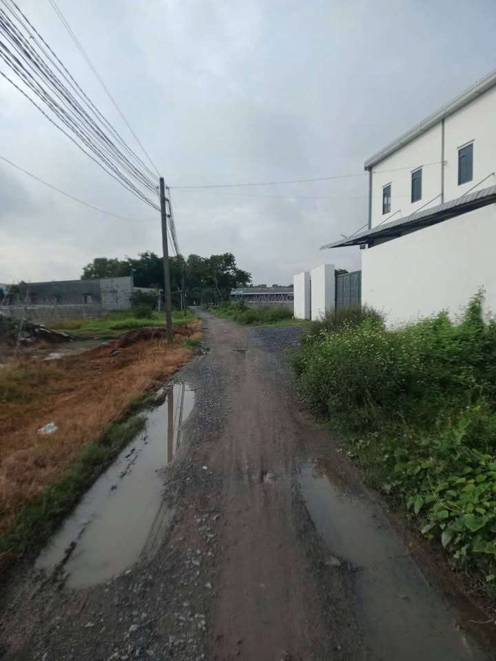 Đất nền 205m² tại xã Mỹ Hạnh Nam, Huyện Đức Hòa - Sổ riêng, giá 1.7 tỷ!