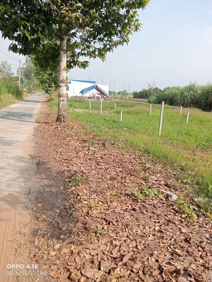 Đất nền thổ cư 105m² tại phường Bình Minh, Vĩnh Long - Giá chỉ 399 triệu, sổ hồng chính chủ!