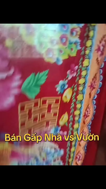 Farm Hội Xuân Cai Lậy 2000m² giá 3 tỷ - Bán gấp nhà và vườn sầu riêng!