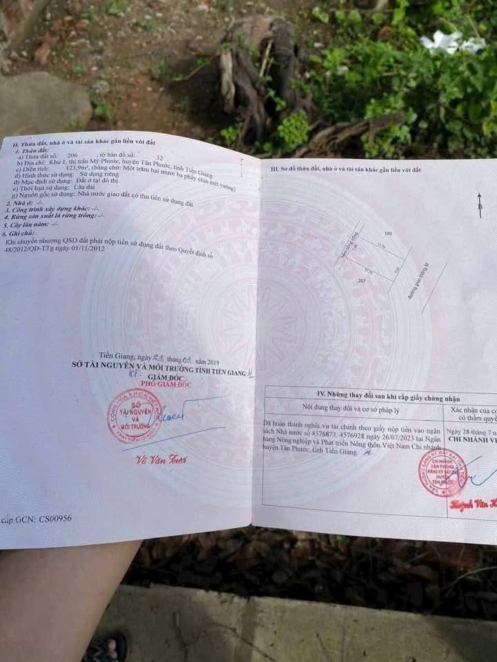 Đất thổ cư tại Thị trấn Mỹ Phước 123.9m² giá 1.15 tỷ - Đường nhựa rộng rãi, gần chợ