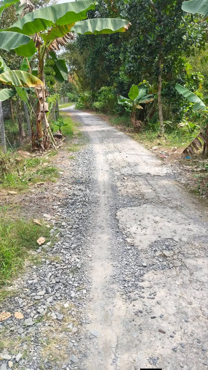 Đất nền ấp Xuân Điền, Cai Lậy 1000m² giá 700 triệu - Đường xe hơi ven sông!