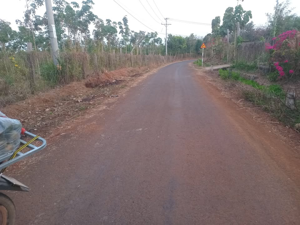 Đất nền khu dân cư Điện, Tân Phú, 4400m² giá 1.28 tỷ - Cơ hội đầu tư tuyệt vời!