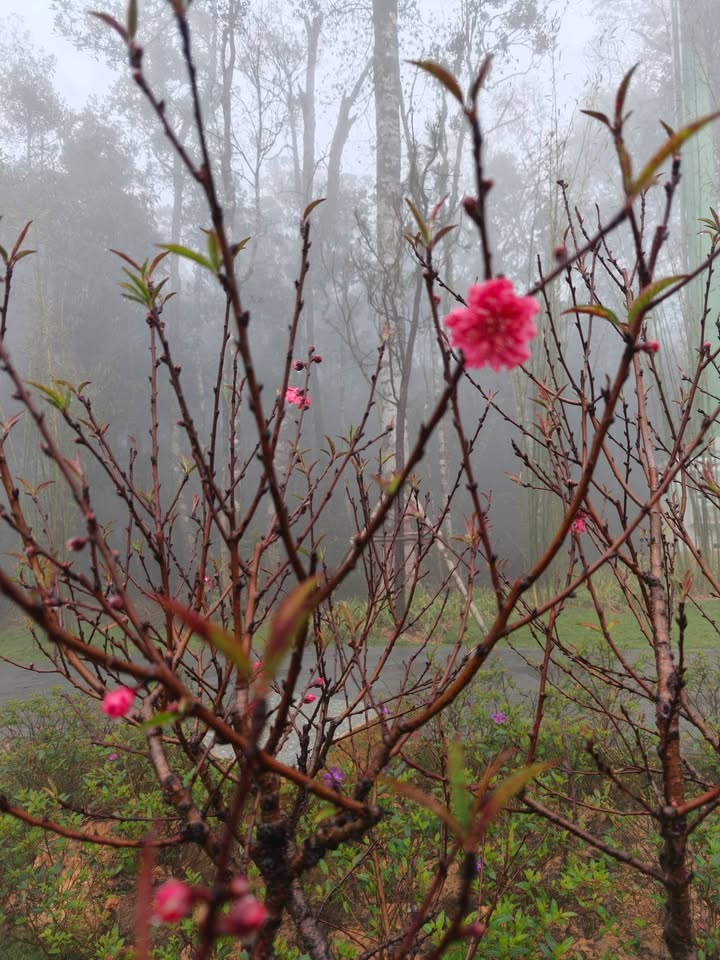 Đất thổ cư 150m² tại xã Cát Tân, huyện Phù Cát giá 1.5 tỷ - Cơ hội đầu tư hấp dẫn!