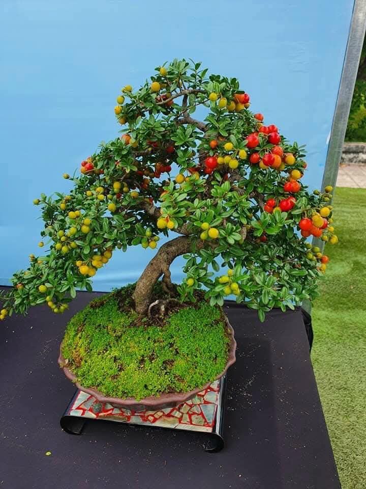 Đất nền đường Vành Đai Bắc Nam, 150m² giá 1.05 tỷ - Cơ hội đầu tư tuyệt vời!