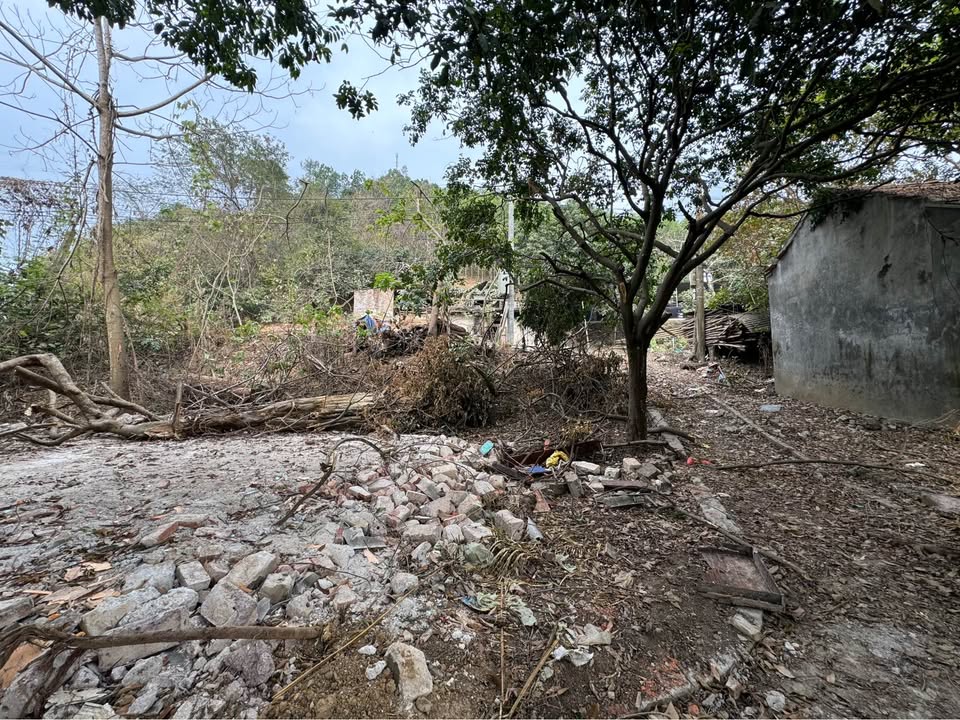 Đất nền 1044m² xóm Vé, Tân Vinh, Lương Sơn - Tiềm năng đầu tư lớn!