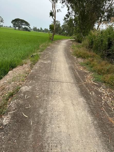 Đất nông nghiệp mặt tiền lộ Dal, ấp Bưng Sa, Sóc Trăng 33.000m² - Cơ hội đầu tư hấp dẫn!