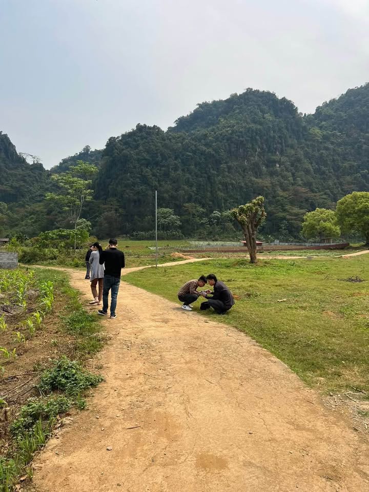 Đất nền Lùng Càng, Phong Quang 800m² giá 850 triệu - Cơ hội đầu tư tuyệt vời!