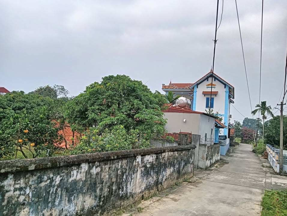 Đất thổ cư Nhân Thịnh, Lý Nhân, Hà Nam 142m² - Giao thông thuận lợi cho đầu tư!