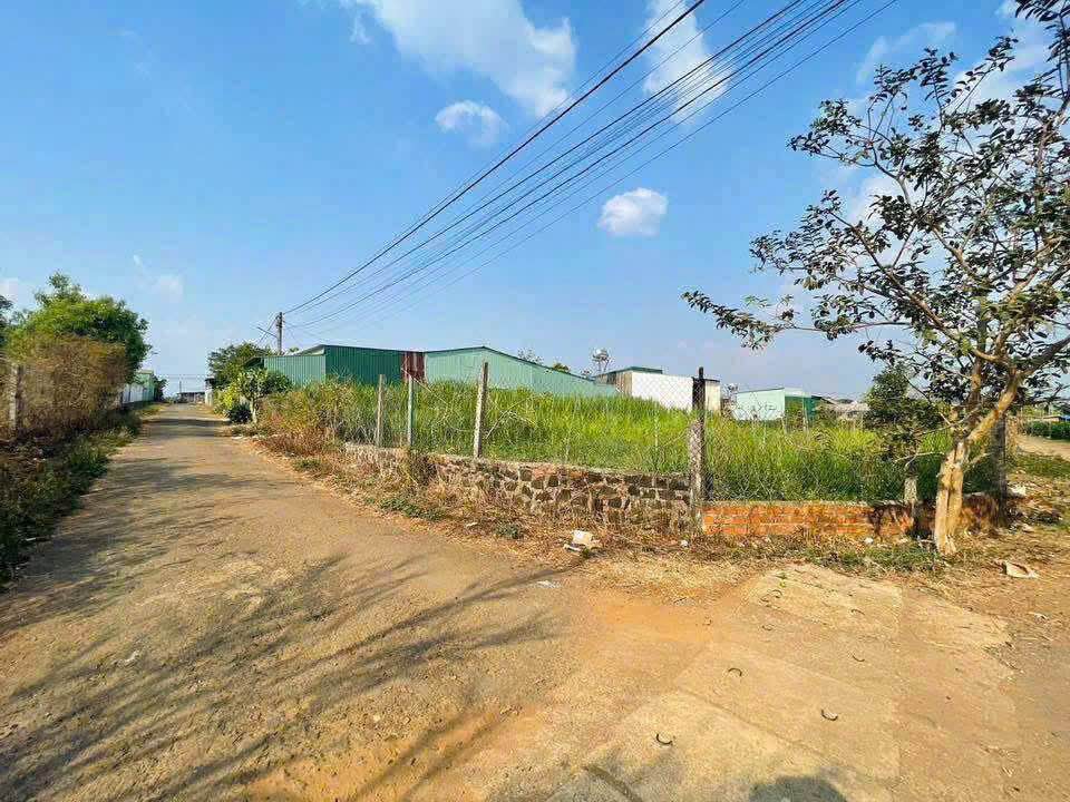 Đất thổ cư 150m² tại hẻm 78 Hà Huy Tập, Gia Lai - Giá chỉ 500 triệu!