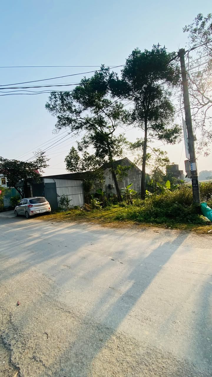 Đất nền Yên Ninh, Yên Định 150m² - Vị trí đắc địa gần KCN Định Liên!