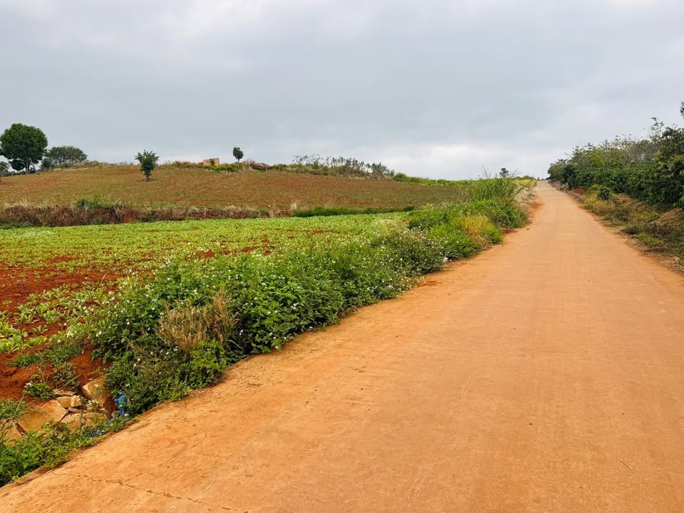 Đất nền Nam Hà Lâm Đồng 1000m² giá 999 triệu - Đầu tư lý tưởng cho nghỉ dưỡng!