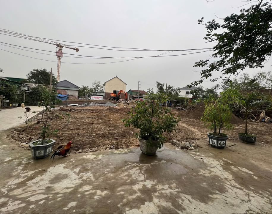 Đất nền lô góc Ngõ Trần Thánh Tông 72.8m² giá 2.18 tỷ - Sổ đỏ chính chủ!