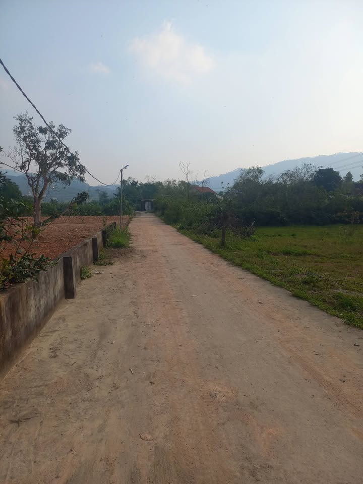 Đất thổ cư 500m² xã Nghi Kiều, huyện Nghi Lộc - Giá chỉ 2.x triệu/m², chính chủ bán gấp!