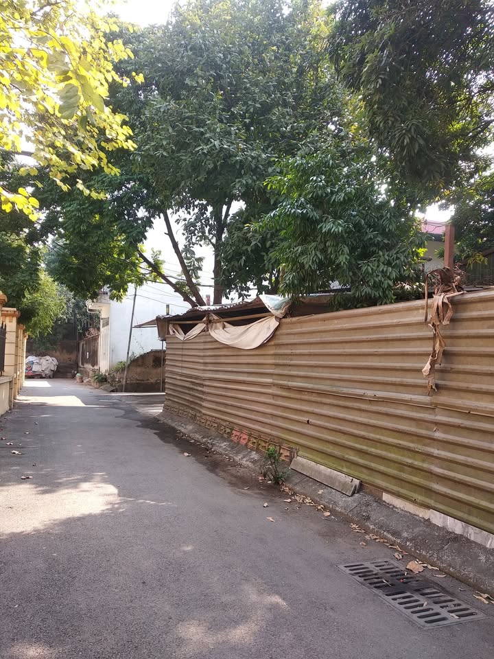 Đất Lĩnh Nam, Hoàng Mai 56m² giá 6 tỷ - Lô góc ô tô đỗ cửa!