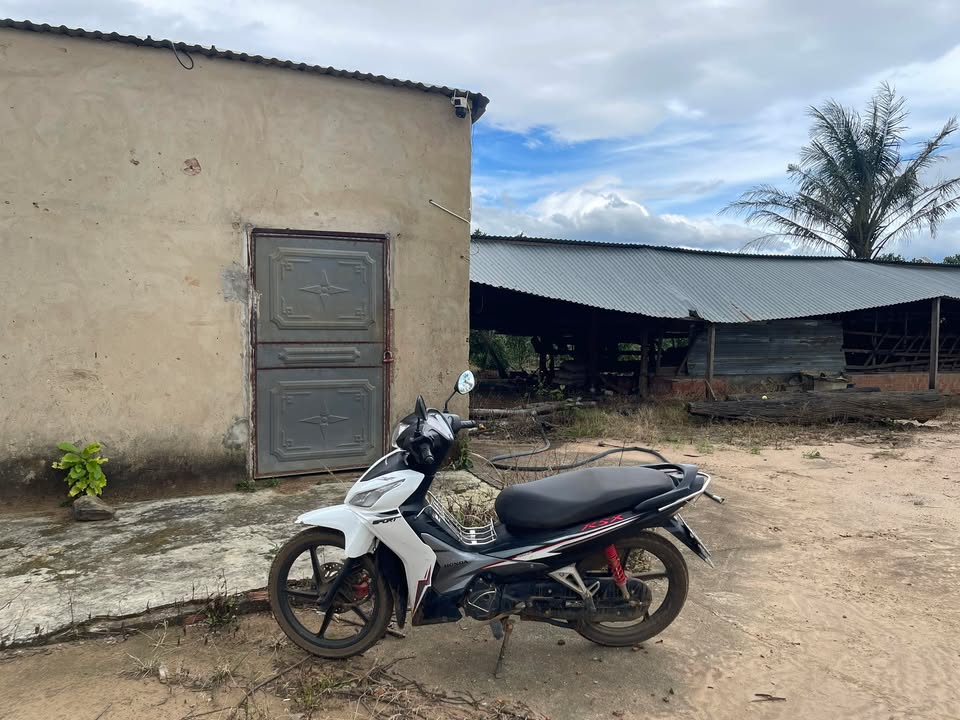 Đất Farm 1,8ha tại Xã Mang Yang chỉ 1,3 tỷ - Cơ hội đầu tư tuyệt vời!