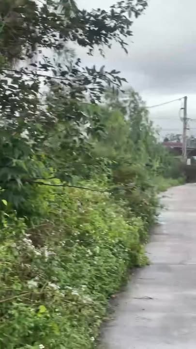 Đất nền thổ cư 126m² tại tt Ngô Mây, Phù Cát - Giá chỉ 8xx triệu