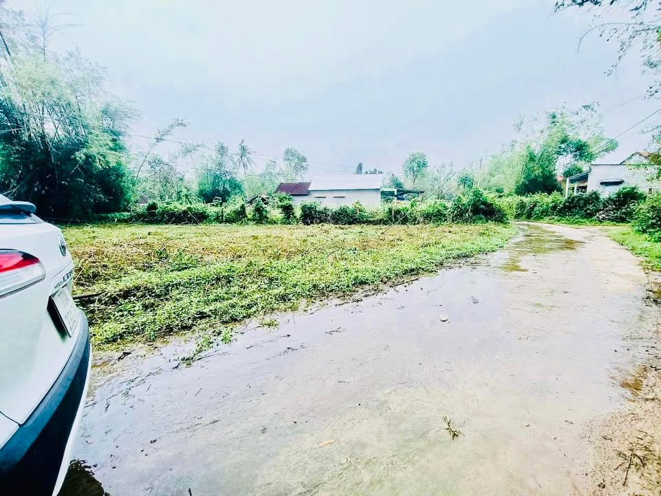 Đất thổ cư 100m² tại Mỹ Quang, Phù Mỹ - Giá chỉ 119 triệu, xe ô tô vào tận nơi!