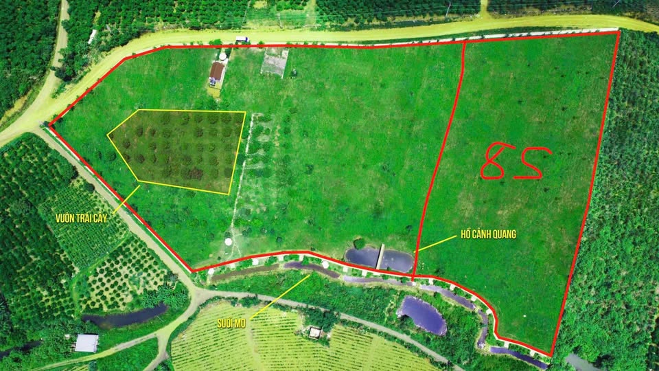 Đất nền 8408m² tại Chùa Di Đà, Bảo Lâm - Cơ hội đầu tư sinh lời hấp dẫn!