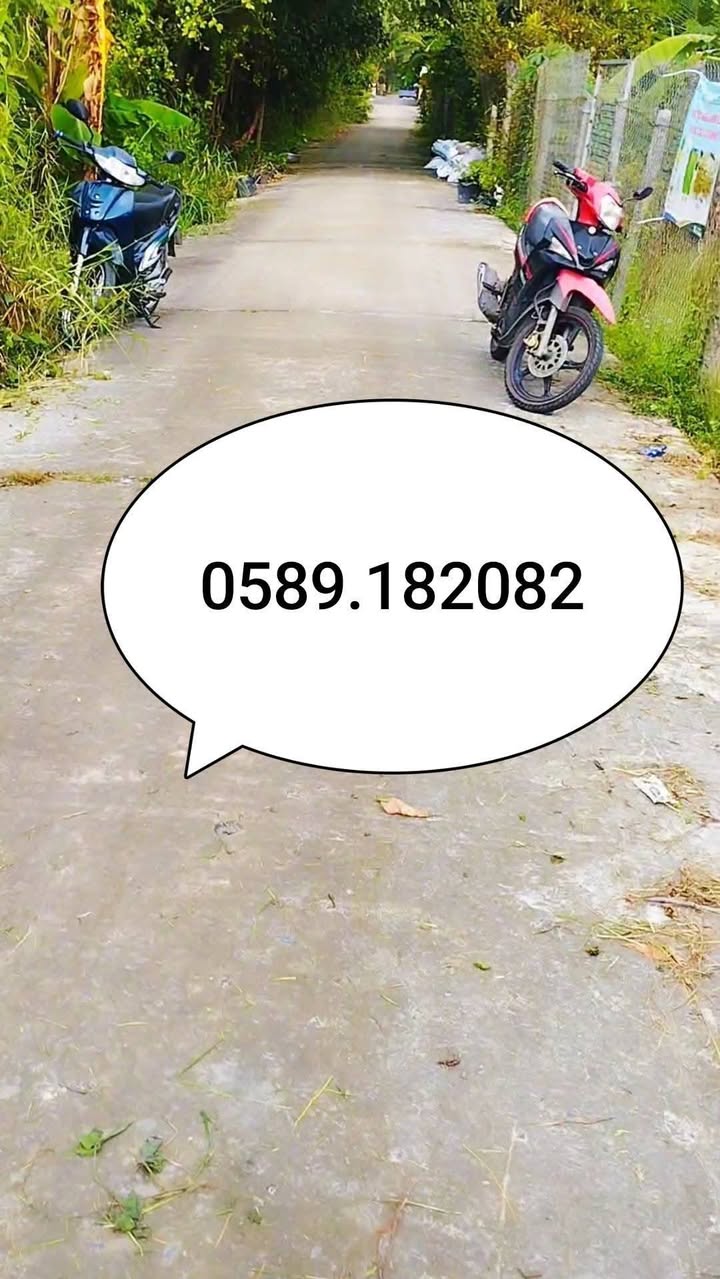 Đất vườn Hòa Thành 20.000m² giá 7 tỷ - Pháp lý rõ ràng, mặt tiền 11m!