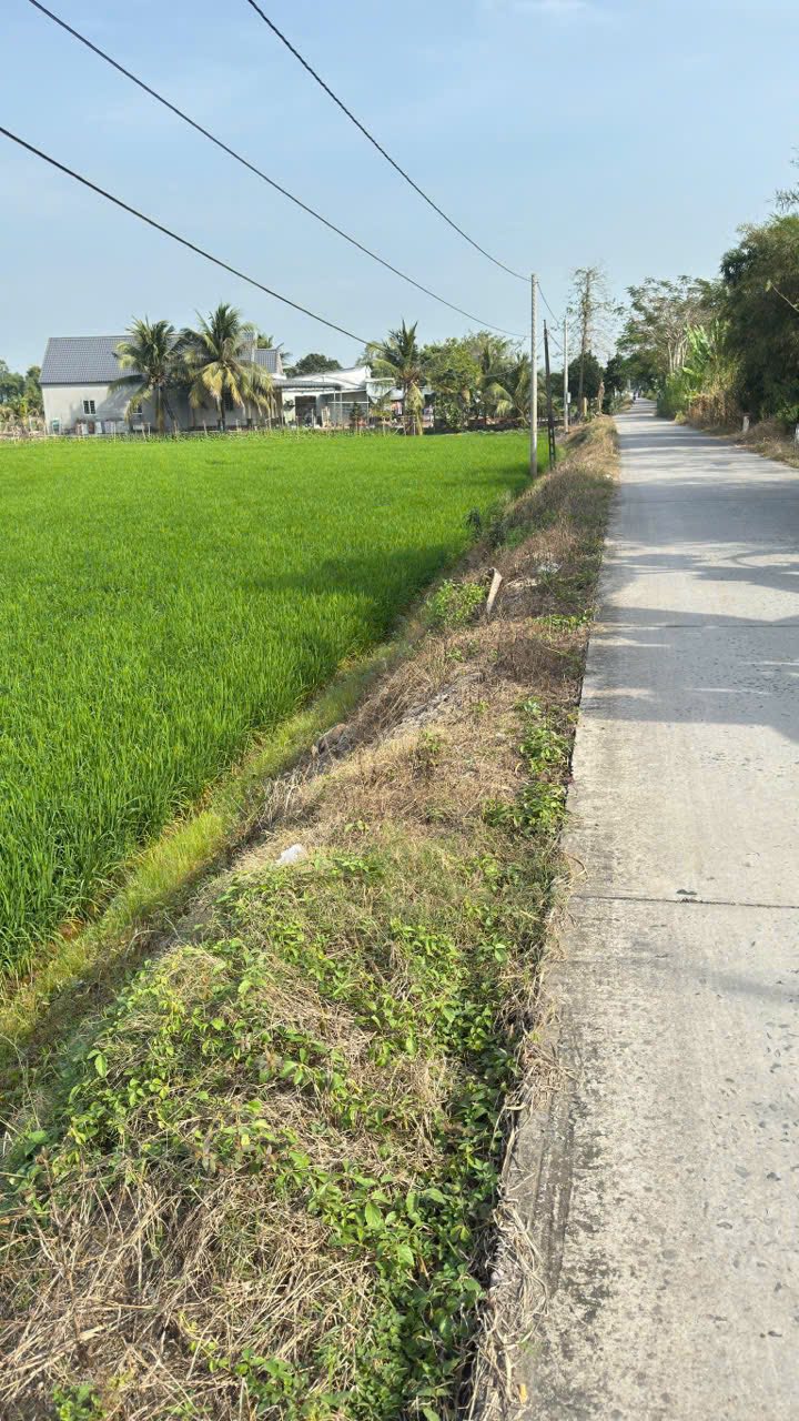 Đất Mặt Tiền Đường Đan Lấp Vò 3702m² giá 2 tỷ - Cơ hội đầu tư tuyệt vời!