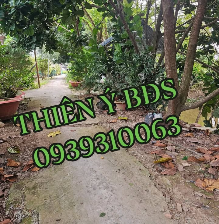 Đất nền Tân Qui Tây 900m² giá 600 triệu - Cơ hội vàng đầu tư!