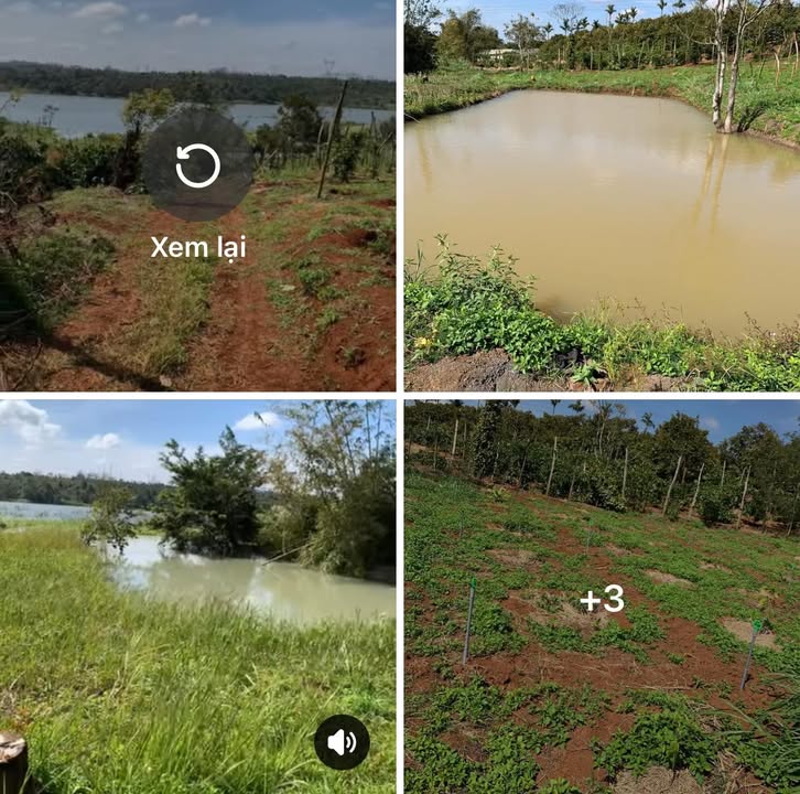 Lô đất Farm 6000m² tại Bình Tân, Buôn Hồ - Pháp lý rõ ràng, giá 2.8 tỷ VND!