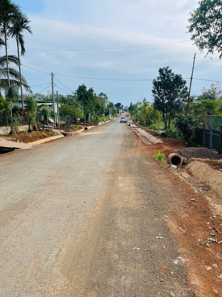 Đất nền mặt tiền Lạc Long Quân 1000m² - Cơ hội đầu tư hiếm có!