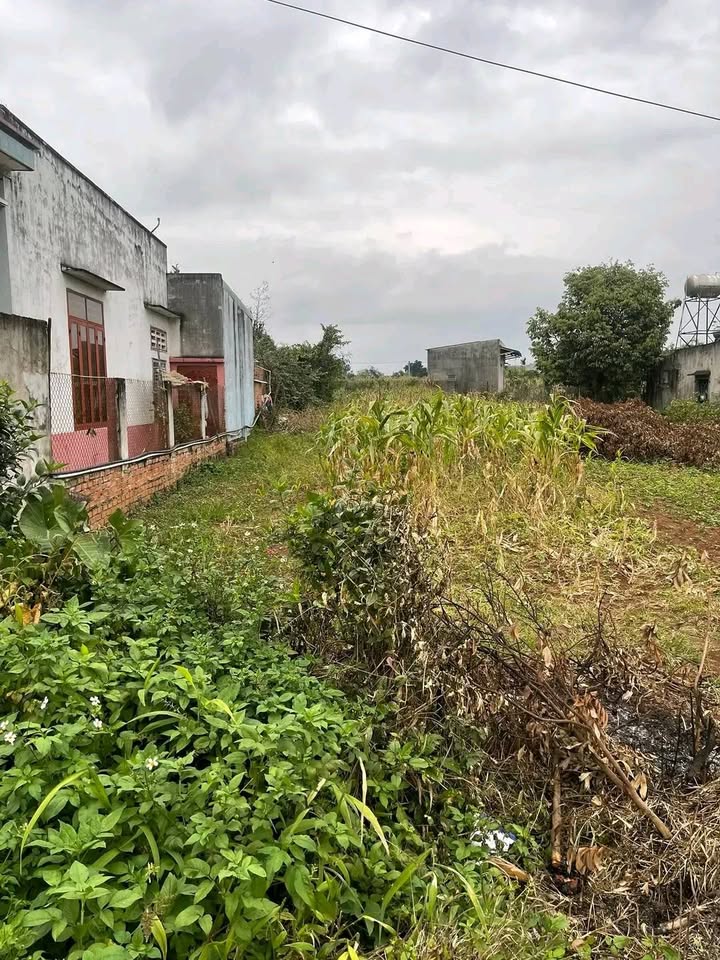 Đất nền xã Ea Păl, huyện Ea Kar 364m² giá 2.07 tỷ - Cơ hội đầu tư tuyệt vời!