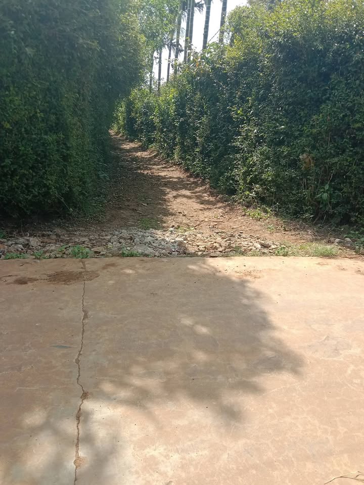 Đất nền Cư Huê, Ea Kar 3000m² giá 920 triệu - Sổ hồng chính chủ đẹp