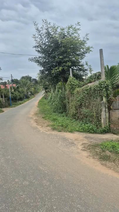 Đất nền xã Ea Sar, huyện Ea Kar 5400m² giá chỉ 1.22 tỷ - Cơ hội đầu tư hấp dẫn!