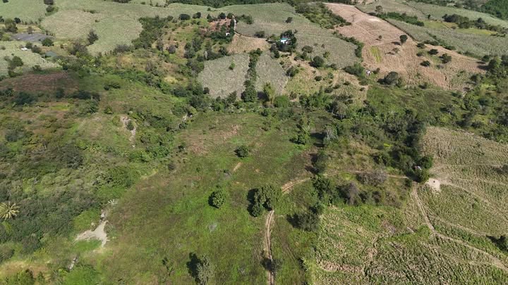 Đất nông nghiệp Đắk Lắk 2ha giá 950 triệu - Phù hợp làm trang trại