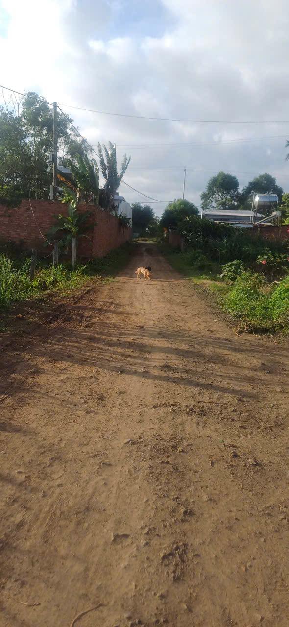 Đất thổ cư 318m² tại Đất Vàng Ea Kar, Đắk Lắk - Giá chỉ 12 tỷ, cơ hội đầu tư tuyệt vời!