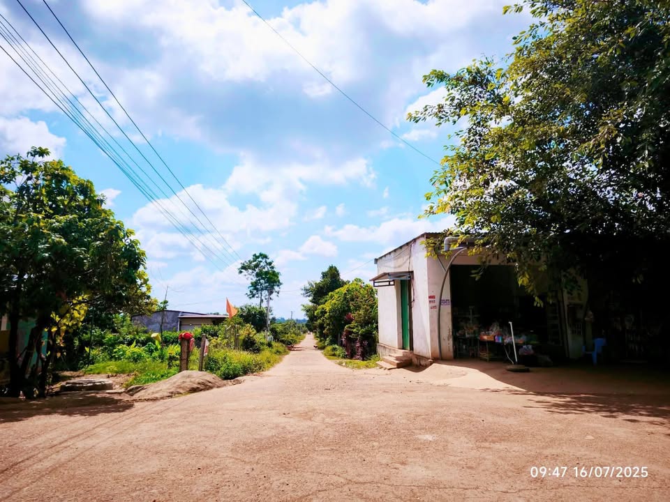 Đất nền tại xã Eakly, huyện Krông Pắc, diện tích 250m², giá 445 triệu - Đầu tư sinh lời ngay!