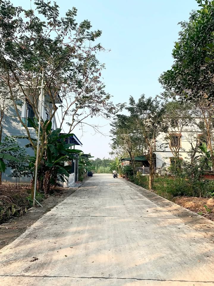 Đất giãn dân Hưng Lộc, Hậu Lộc 133m² giá 1.862 tỷ - Đường ô tô thuận tiện!