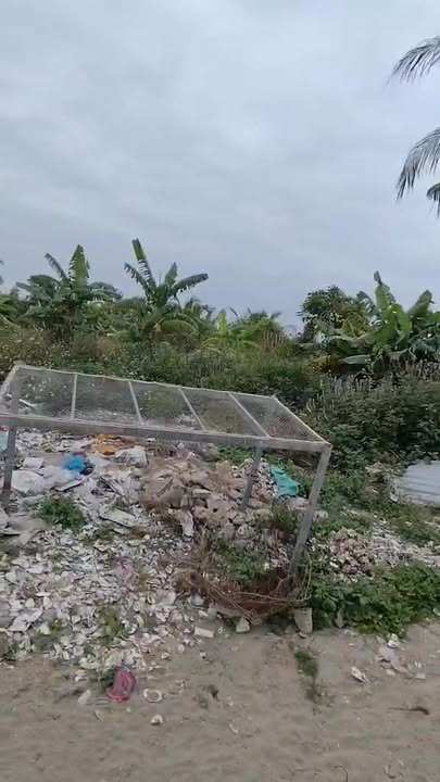 Đất nền xã Tiền Phong, Thị xã Quảng Yên 720m² - Giá bất ngờ cho nhà đầu tư!