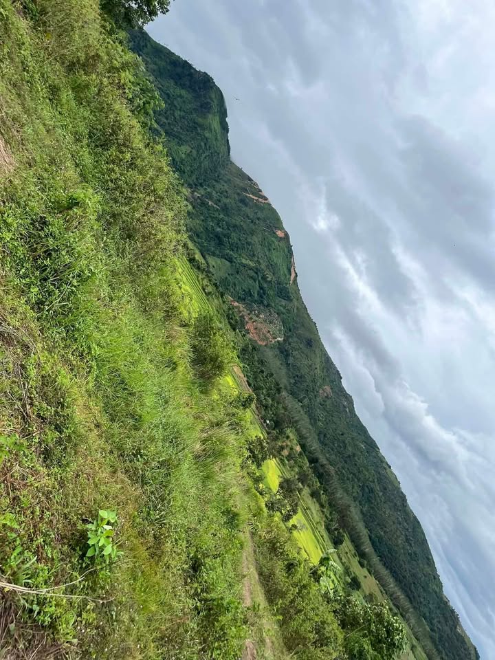 Đất nền 1,2ha tại Chư Hreng, Kon Tum - Cơ hội đầu tư sinh lời!