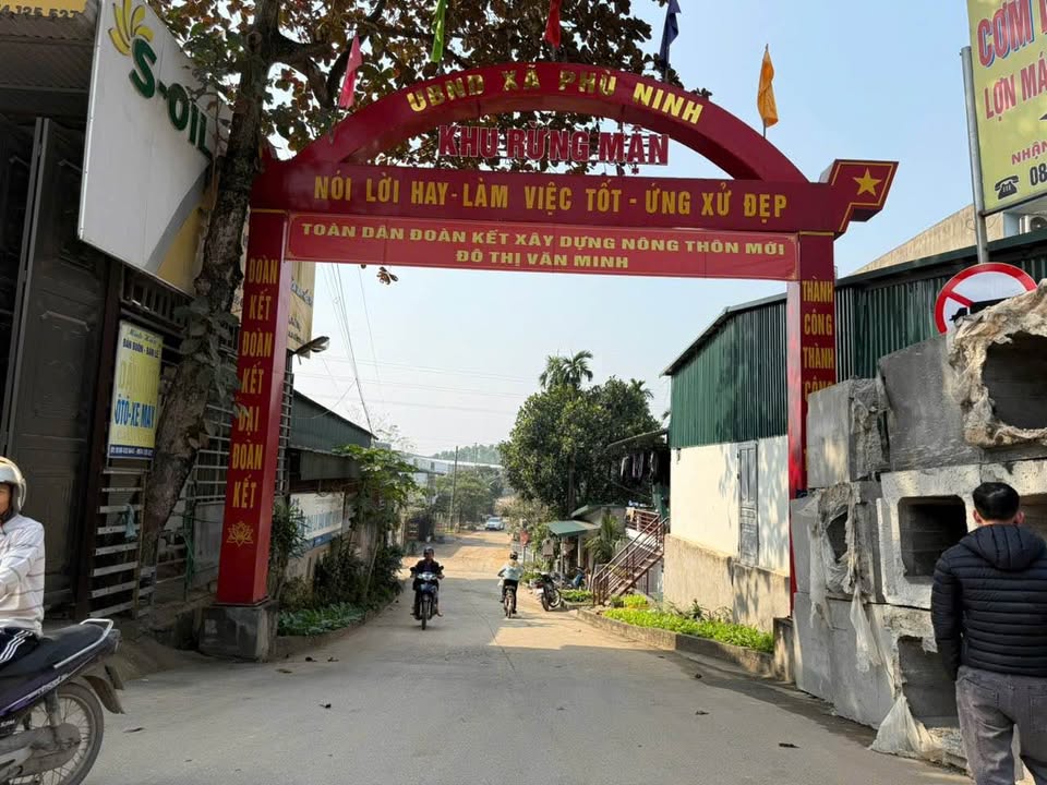 Đất nền Khu Rừng Mận - Phù Ninh, Phú Thọ 100m² - Tiềm năng đầu tư cao!