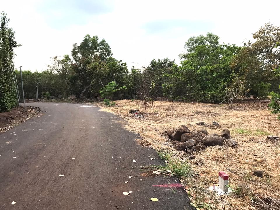 Đất nền Bàu Lâm, Xuyên Mộc 14,400m² giá 2.169 tỷ - Cơ hội đầu tư không thể bỏ lỡ!